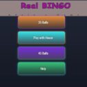 BINGO Real 5 bingo real 1