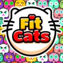 Fit Cats 5 fit cats 1