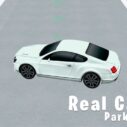 Real Car Parking 3D 7 real car parking 3d